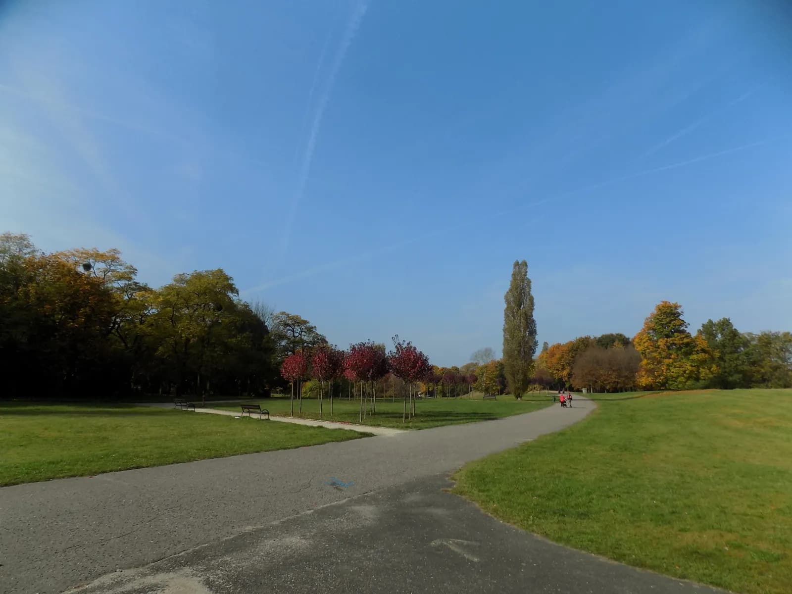 Park Cytadela