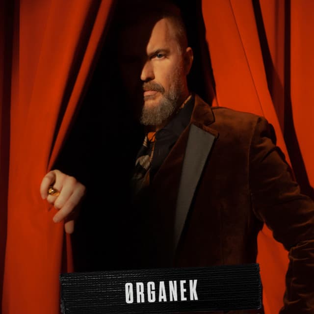 Ørganek
